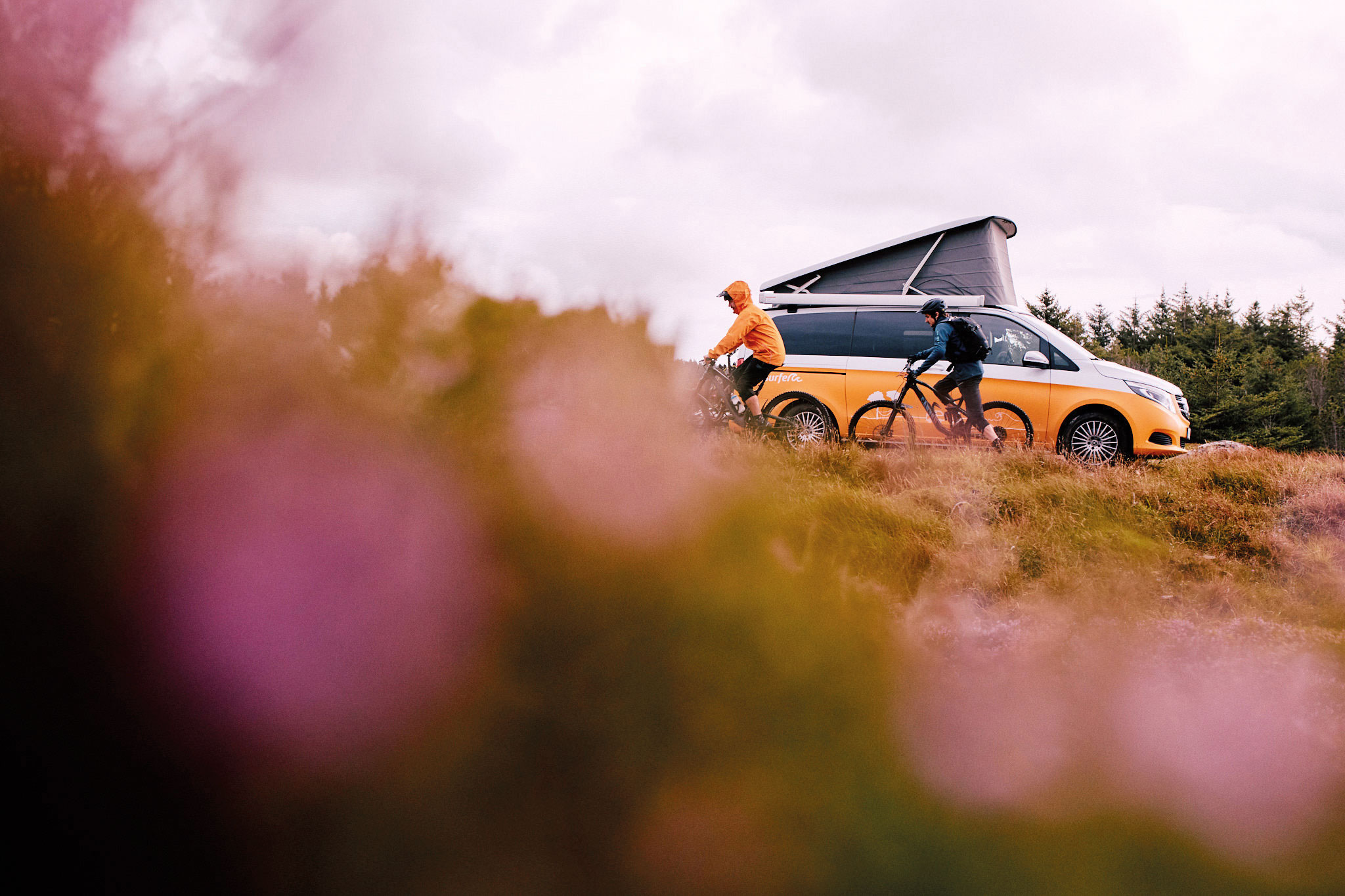 Two people ride bikes past a yellow camper van with its roof extended, surrounded by natural scenery with blurred purple plants in the foreground. The sky is cloudy.